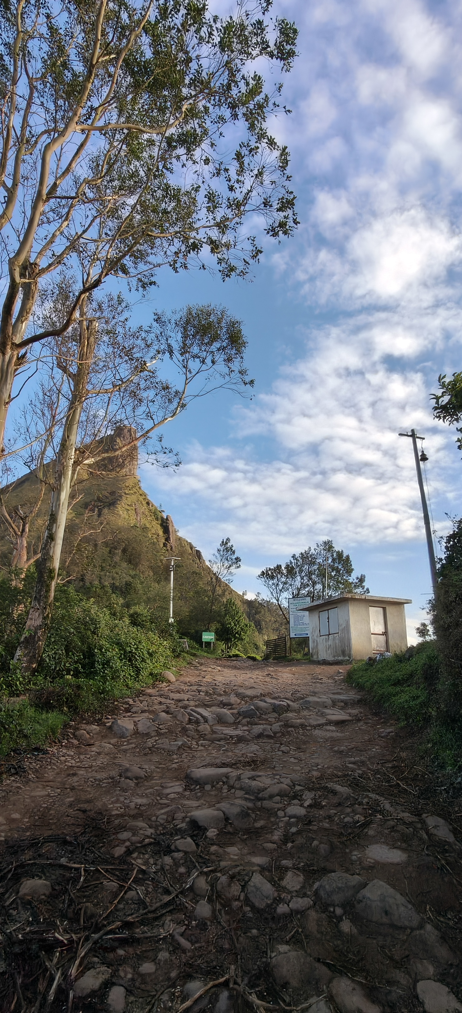 Kolukkumalai rocky off-road trail with hill peak, tall trees and blue sky
